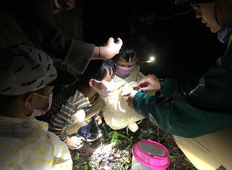 2025/05/02 阿里磅奇幻生態夜 夜間生態導覽