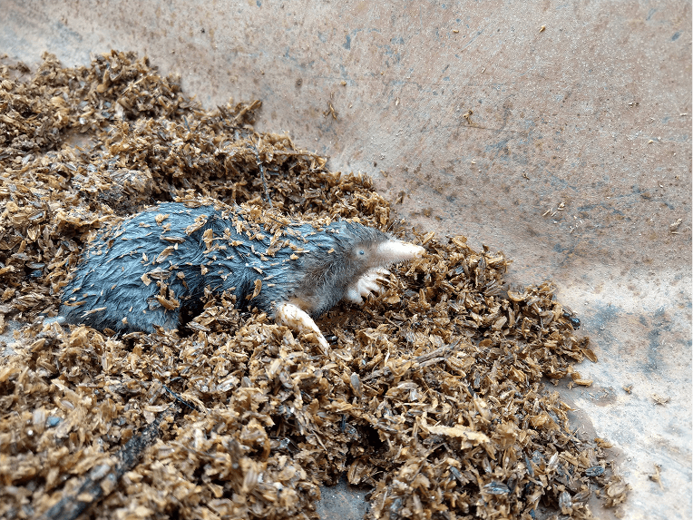 自然谷環境信託基地