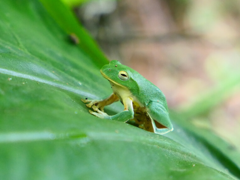 自然谷環境信託基地