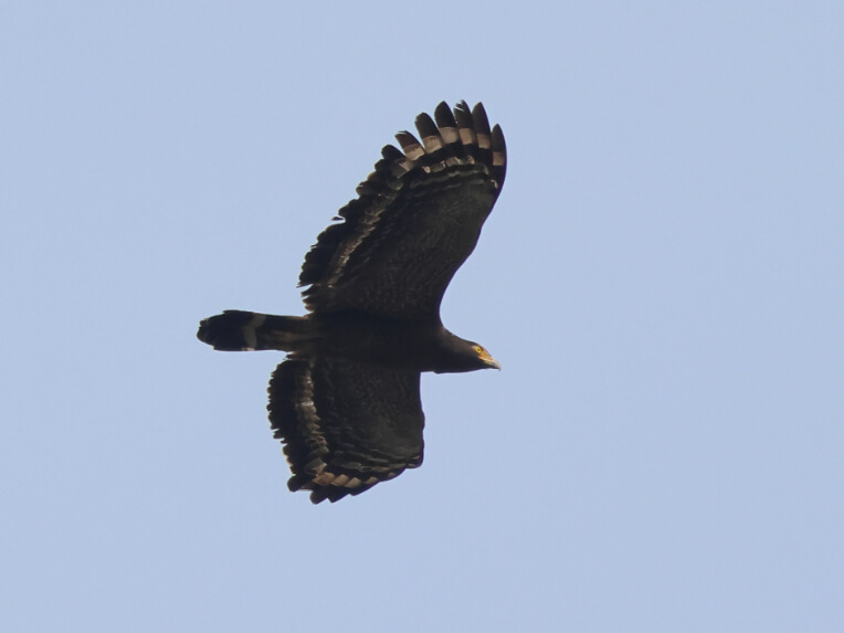 自然谷環境信託基地