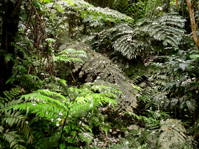自然谷環境信託基地