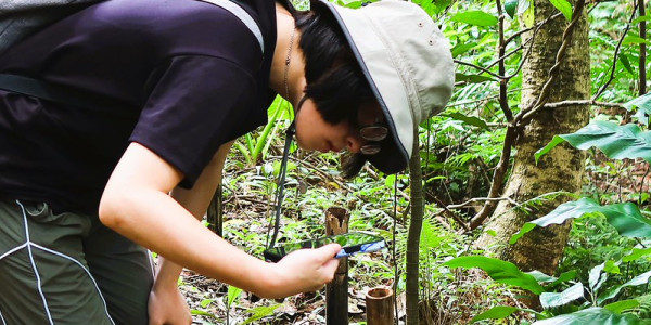 54594902436_480ab23345_c